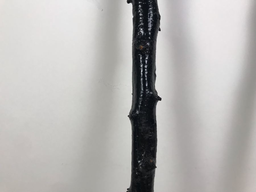 Pair Of Irish Blackthorn Walking Sticks - Similar Gifted To JFK And Ronald Reagan Retails $118 [Photo 3]