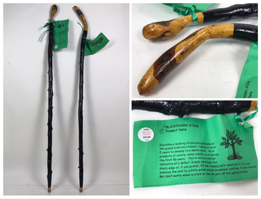 Pair Of Irish Blackthorn Walking Sticks - Similar Gifted To JFK And Ronald Reagan Retails $118 [Photo 1]