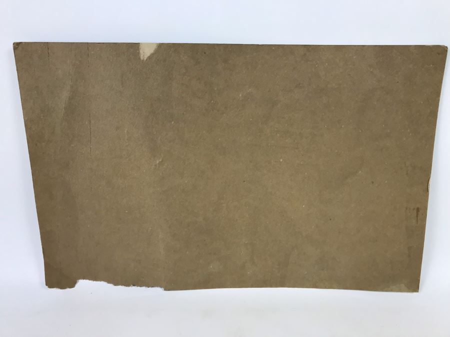 Vintage Nixon / Agnew Political Campaign Cardboard Poster Official Nixon Material 22' X 14' [Photo 9]