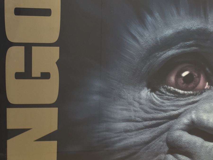 Vintage Congo Movie Poster Framed [Photo 2]