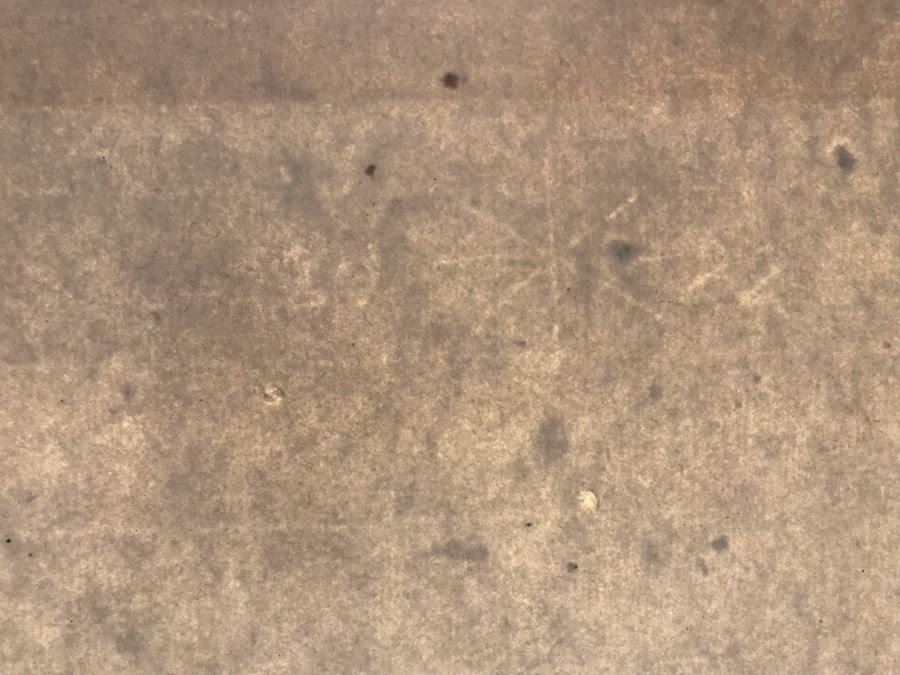 RARE Original Rembrandt Van Rijn Etching Titled 'David In Prayer' Pressed In 1922 By Alex Eckener 4' X 5.5' Item Appraised At $3,900 Has A Reserve Price - See Description For More Info [Photo 29]