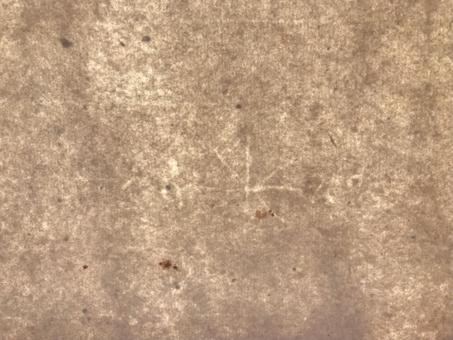 RARE Original Rembrandt Van Rijn Etching Titled 'The Circumcision In The Stable' Pressed In 1922 By Alex Eckener 5.5' X 3.75' Item Appraised At $5,400 Has A Reserve Price - See Description For More Info [Photo 40]