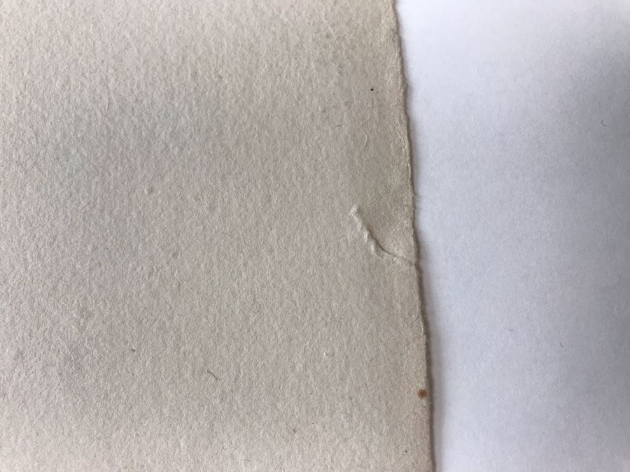 RARE Original Rembrandt Van Rijn Etching Titled 'Adoration Of The Shepherds With The Lamp' Pressed In 1922 By Alex Eckener 5' X 4' - Item Appraised At $5,400 Has A Reserve Price - See Description For More Info [Photo 32]