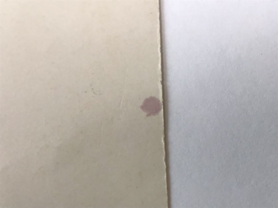 Antique 1906 Pencil Signed Original Etching Portait By Alex Eckener 5' X 4' - See Description [Photo 24]