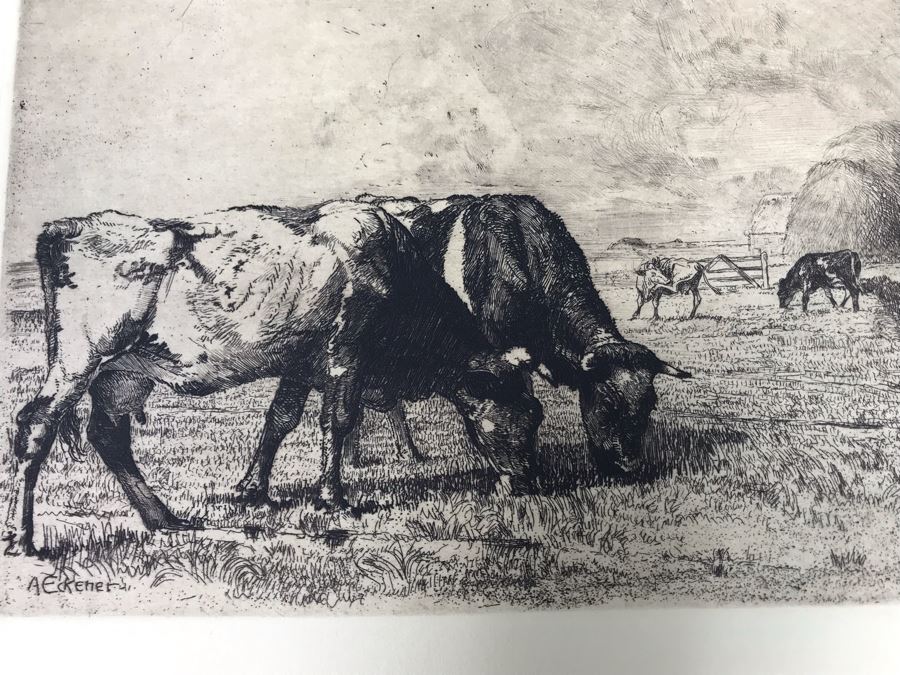 Original Alex Eckener Etching Titled 'Weidende Kühe' 'Grazing Cows' 9' X 6' - See Description [Photo 11]