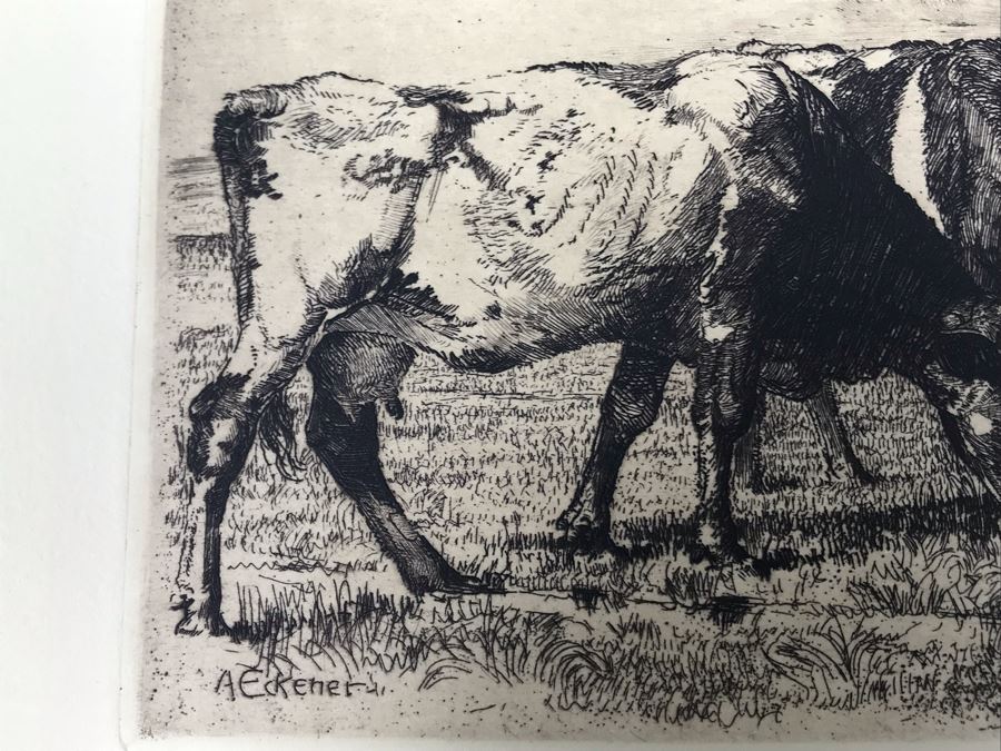 Original Alex Eckener Etching Titled 'Weidende Kühe' 'Grazing Cows' 9' X 6' - See Description [Photo 6]