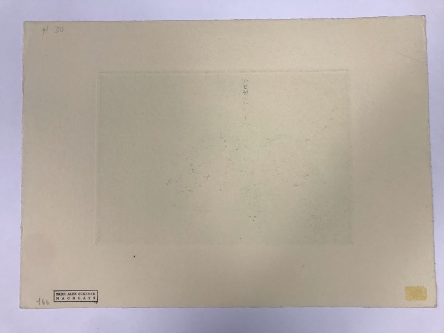 Original Alex Eckener Etching Titled 'Weidende Kühe' 'Grazing Cows' 9' X 6' - See Description [Photo 19]