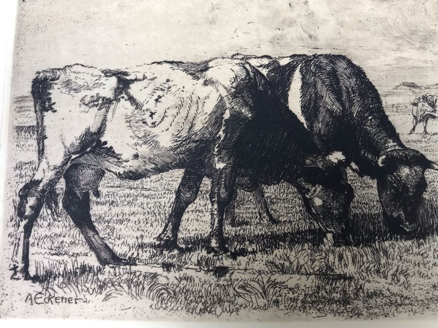 Original Alex Eckener Etching Titled 'Weidende Kühe' 'Grazing Cows' 9' X 6' - See Description [Photo 12]