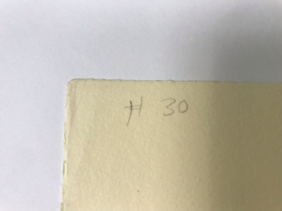 Original Alex Eckener Etching Titled 'Weidende Kühe' 'Grazing Cows' 9' X 6' - See Description [Photo 22]