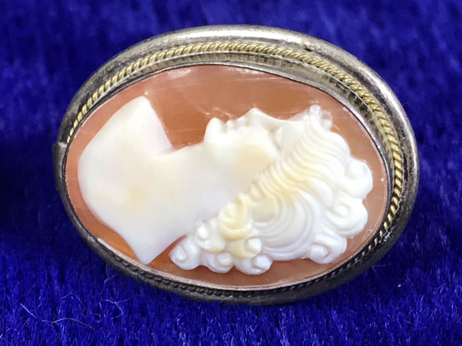 Antique 800 Silver Carved Shell Cameo Clip On Earrings 1” X 0.75” 8.8g [Photo 9]