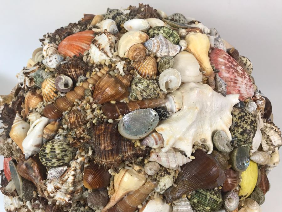 Large 16' Round Organic Seashell Spherical Sculpture [Photo 5]