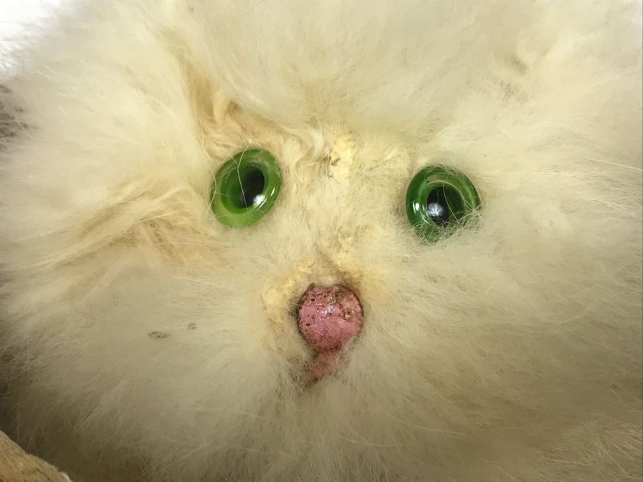 Vintage Working Japanese Mechanical Wind Up Cat In Basket Toy Cat Spins And Goes Up And Down [Photo 4]