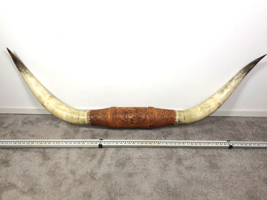 Large Mounted Steer Bull Horns With Tooled Leather 5' [Photo 3]