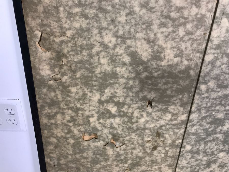 Original Asian Signed Painting Gold Folding Screen Divider 66' X 36' [Photo 20]