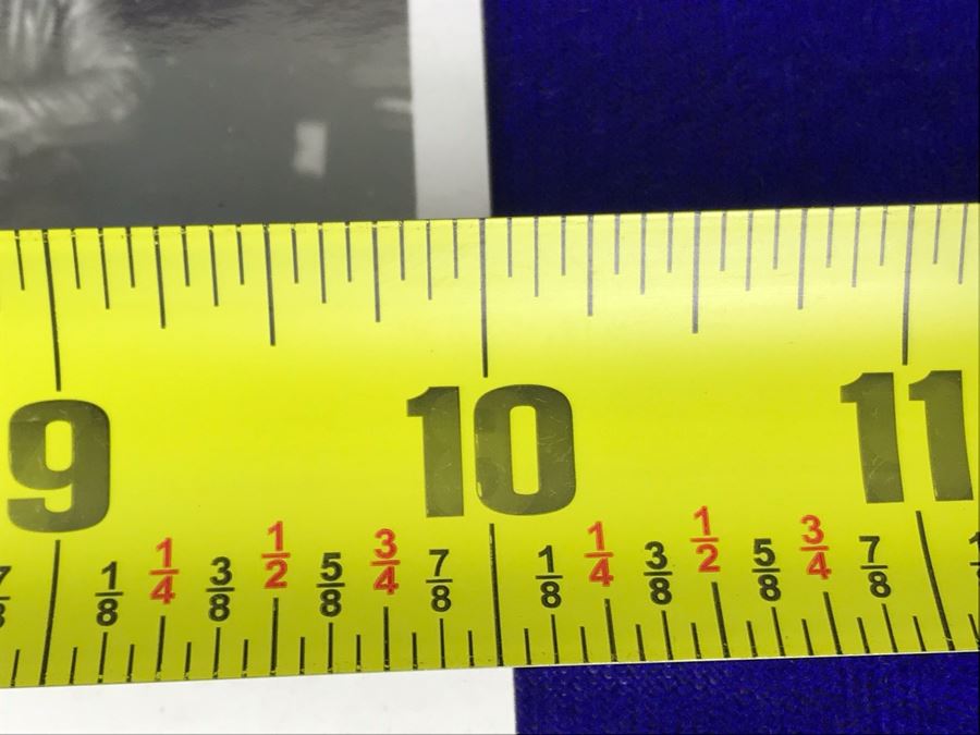 Vintage 1979-1980 The Blues Brothers Movie Memorabilia 8 X 10 Photo Of The Movie Crew [Photo 6]