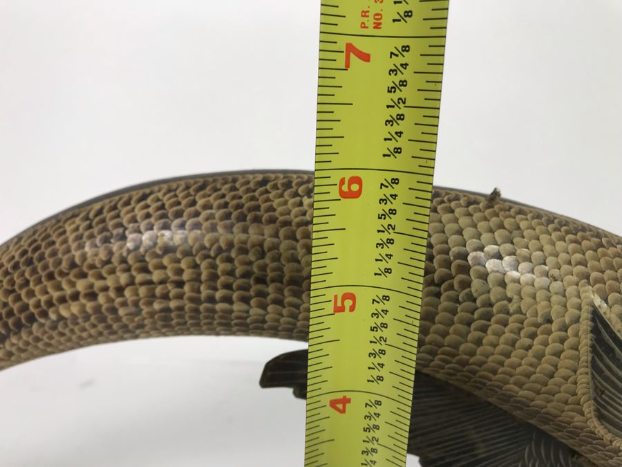 Carved Horn Sculpture Of Fish 18'L X 6'H [Photo 11]