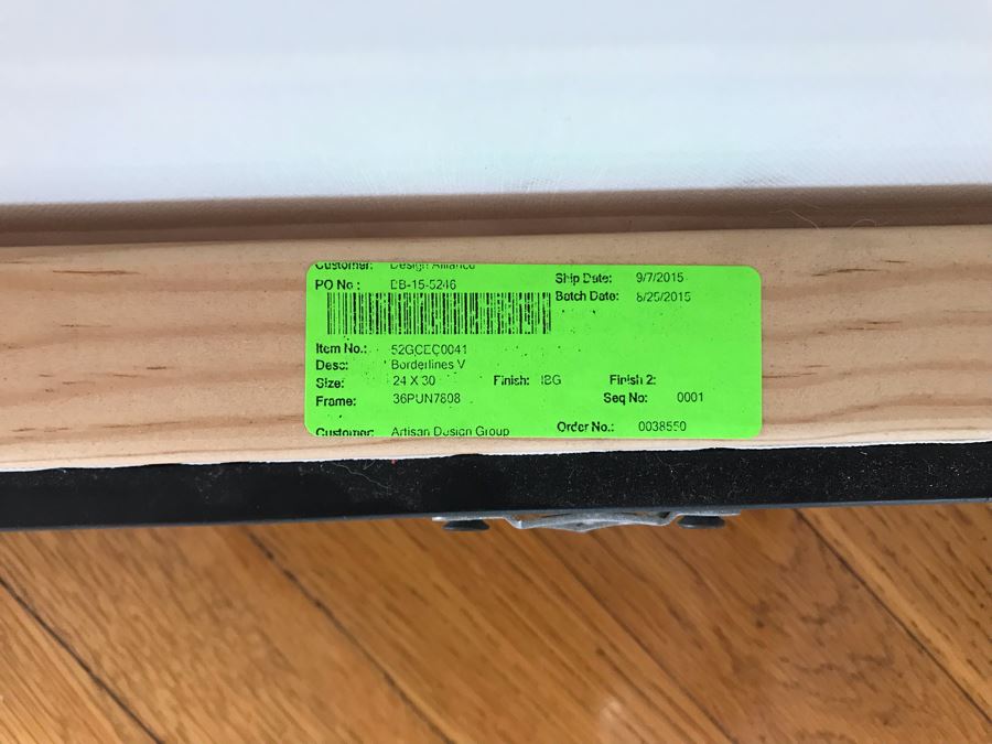 Pair Of Borderlines V Canvas Prints With Wooden Silvered Frame 24 X 30 [Photo 11]