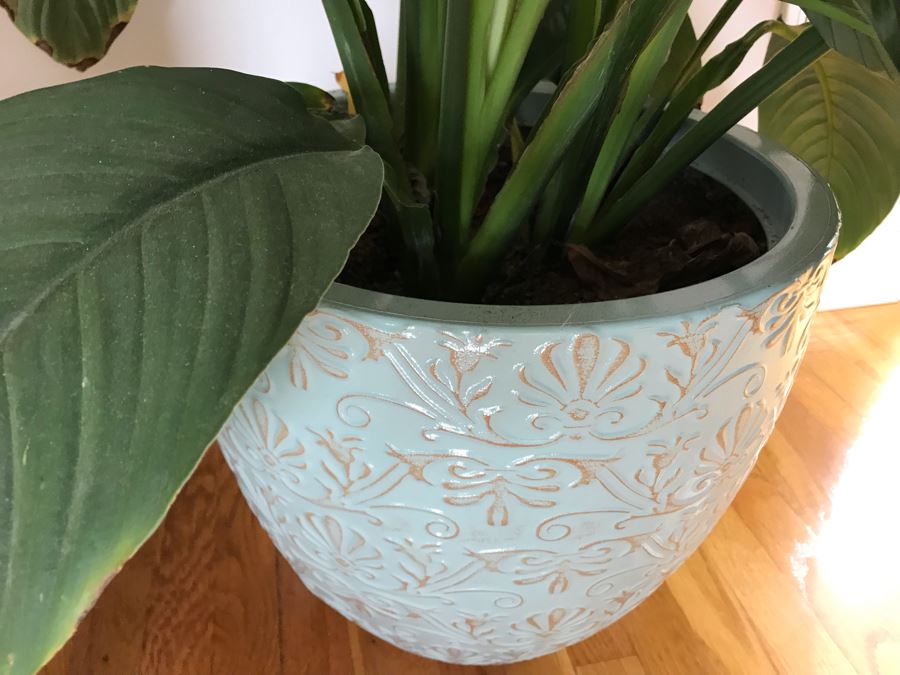 Indoor Real Plant With Plastic Pot 16W X 36H [Photo 4]