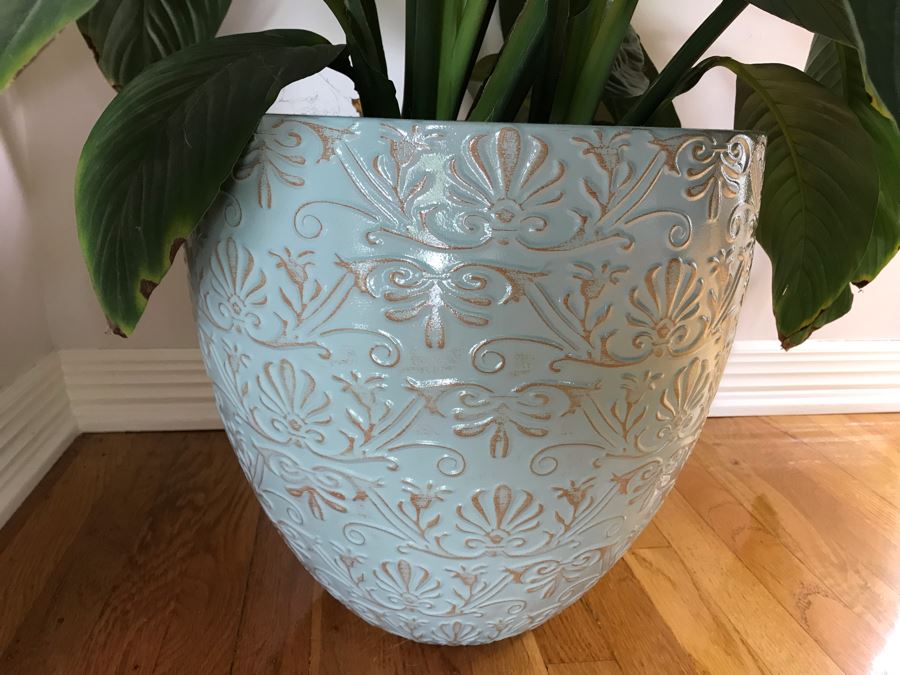 Indoor Real Plant With Plastic Pot 16W X 36H [Photo 3]