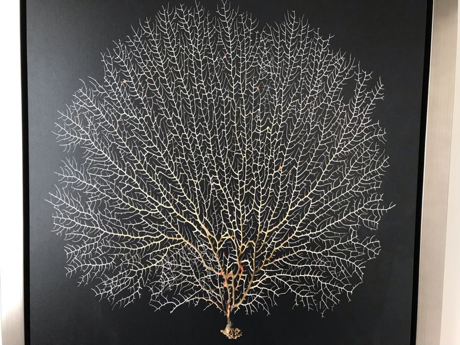 Coral Print Wall Artwork In Silvered Wooden Frame 28 X 28 [Photo 4]