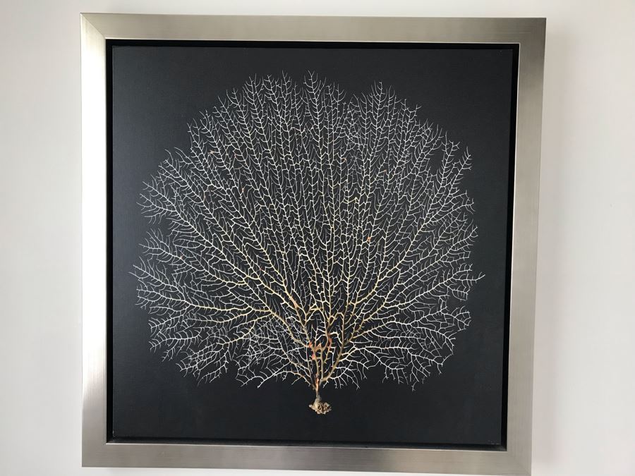 Coral Print Wall Artwork In Silvered Wooden Frame 28 X 28 [Photo 3]