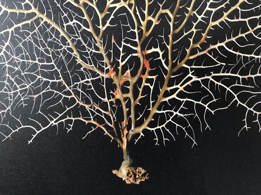 Coral Print Wall Artwork In Silvered Wooden Frame 28 X 28 [Photo 5]