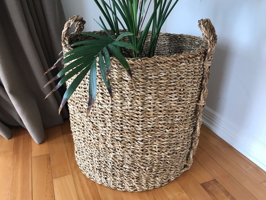 Indoor Palm Tree With Woven Rope Pot 20W X 48H [Photo 5]
