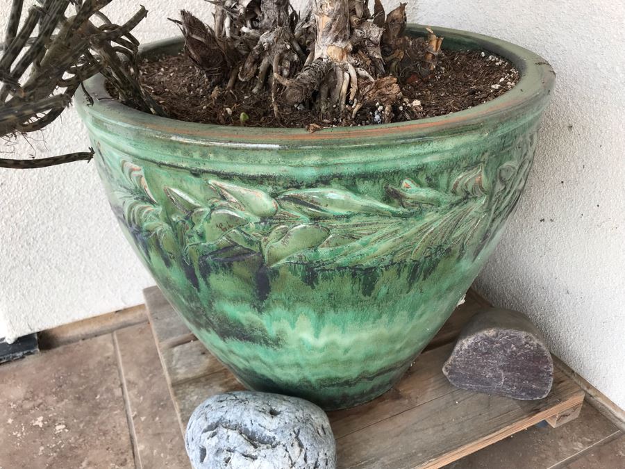 Outdoor Plant With Glazed Ceramic Pot 20W X 56H [Photo 2]