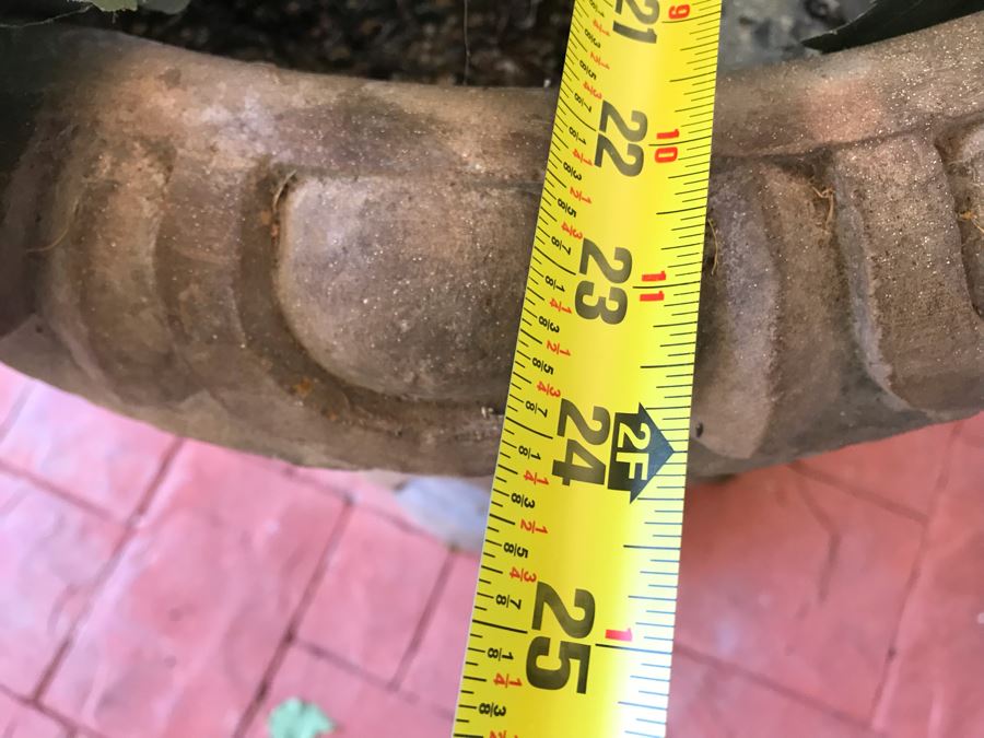 Pair Of Monumental Cast Cement Urn Planters With Ficus Trees 3'H X 2'R [Photo 8]