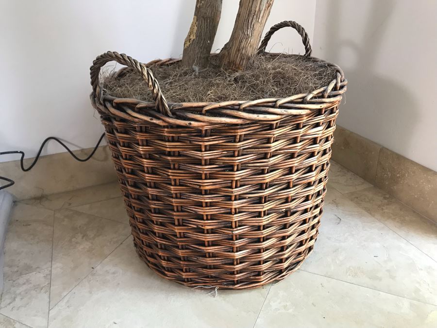 Large Artificial Indoor Plant 142'H [Photo 5]