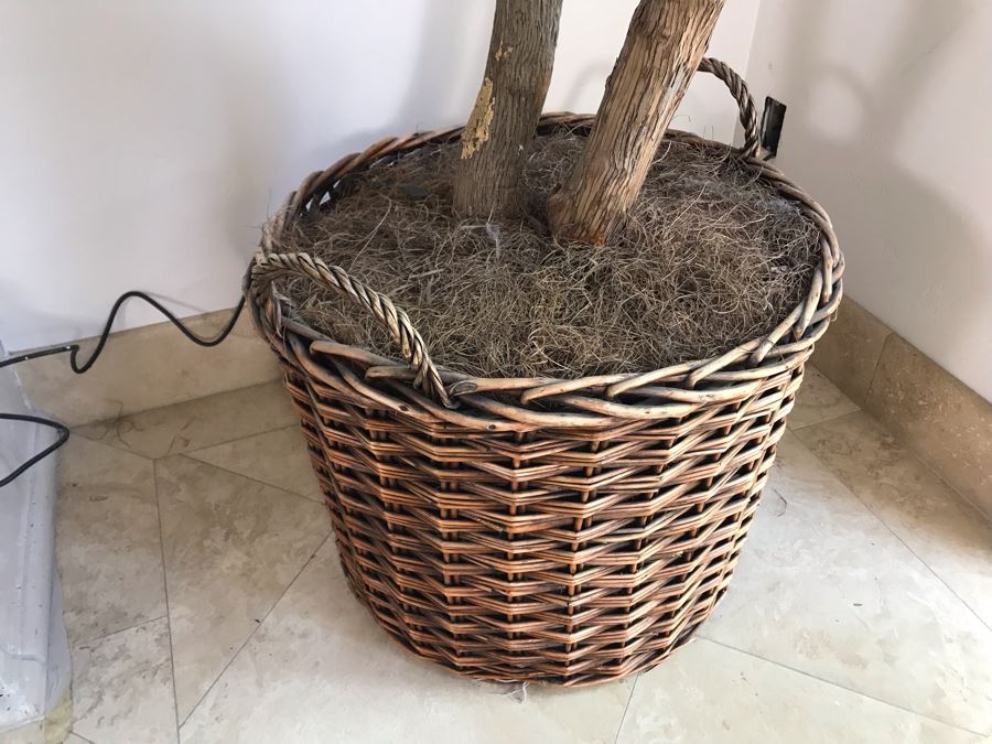 Large Artificial Indoor Plant 142'H [Photo 6]