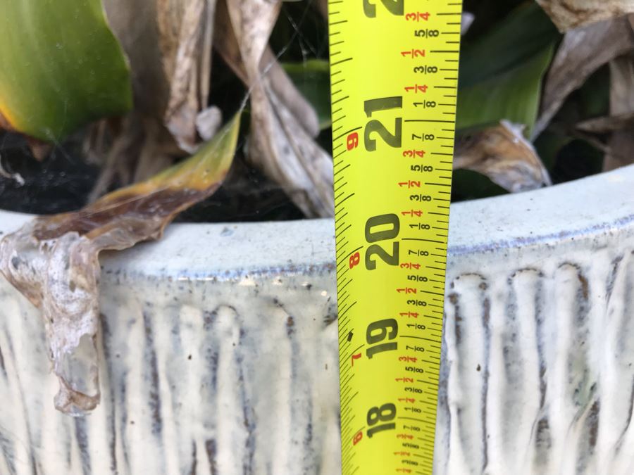 Pair Of Large White Glazed Modern Ceramic Planters With Plants 20'H X 21'W [Photo 5]