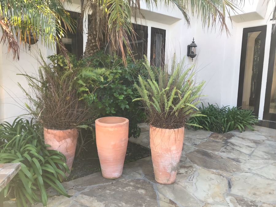 (3) Large Terracotta Tapered Cylindrical Planters Pots - Two With Ferns 27'H X 16'W [Photo 3]