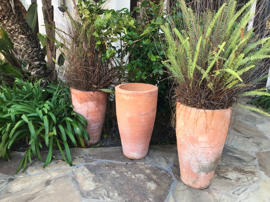 (3) Large Terracotta Tapered Cylindrical Planters Pots - Two With Ferns 27'H X 16'W