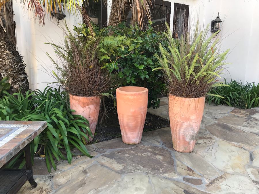 (3) Large Terracotta Tapered Cylindrical Planters Pots - Two With Ferns 27'H X 16'W [Photo 4]
