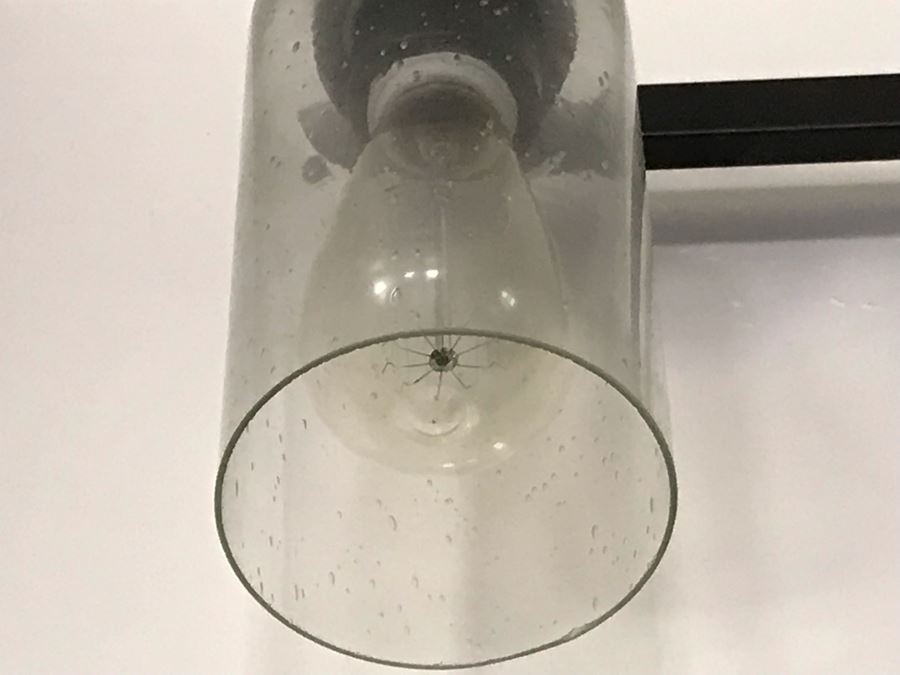 Set Of (3) Light Fixtures - See Photos For Other Two [Photo 7]