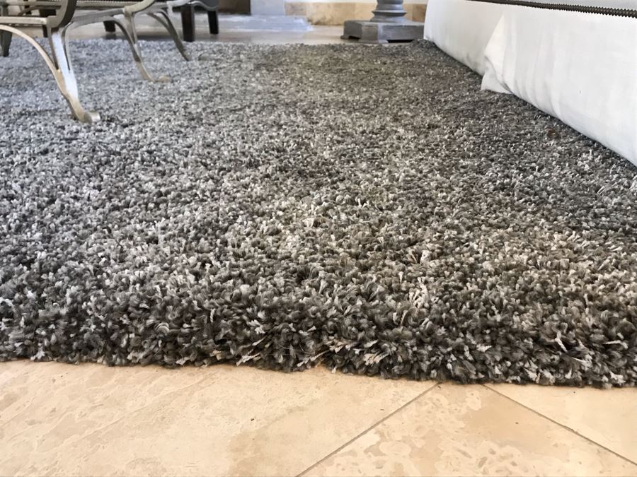 Nice Grey Tone Area Rug Shag Carpet 10' X 8' [Photo 6]