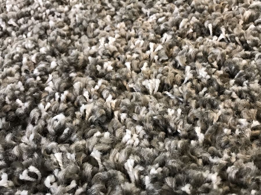 Nice Grey Tone Area Rug Shag Carpet 10' X 8' [Photo 3]
