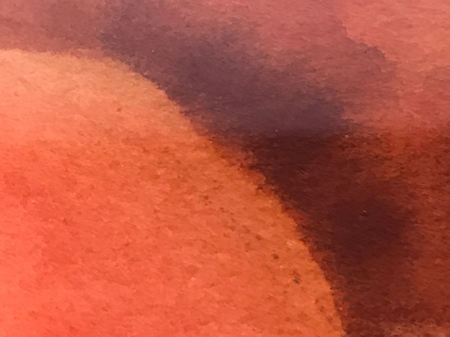 Framed Original Watercolor Painting Of Fruit Signed Sweet 22 X 18 [Photo 8]