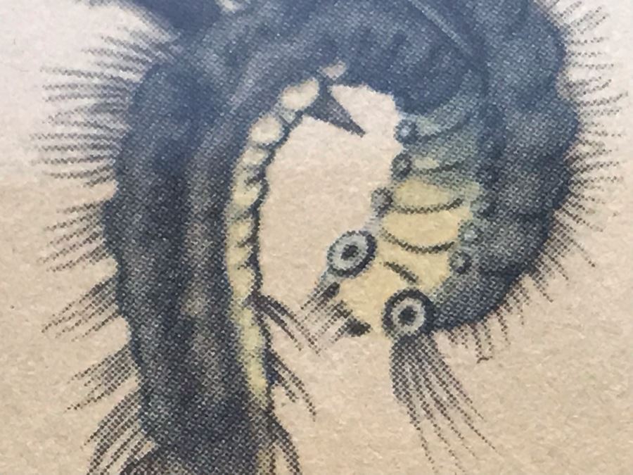 Framed Reproduction John James Audubon Blue-Bird No. 23 Print 23 X 25 [Photo 14]