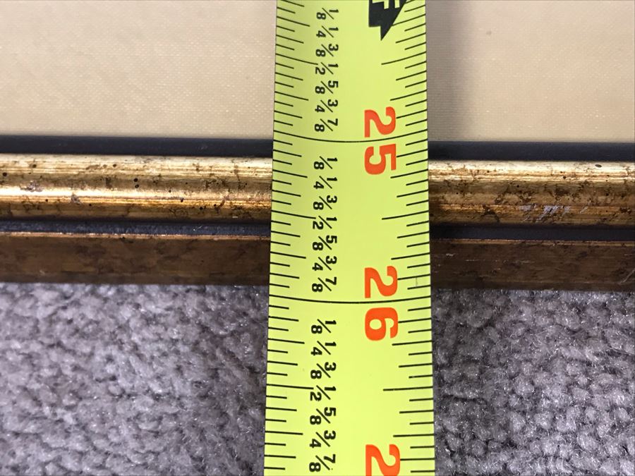 Framed Reproduction John James Audubon Blue-Bird No. 23 Print 23 X 25 [Photo 16]