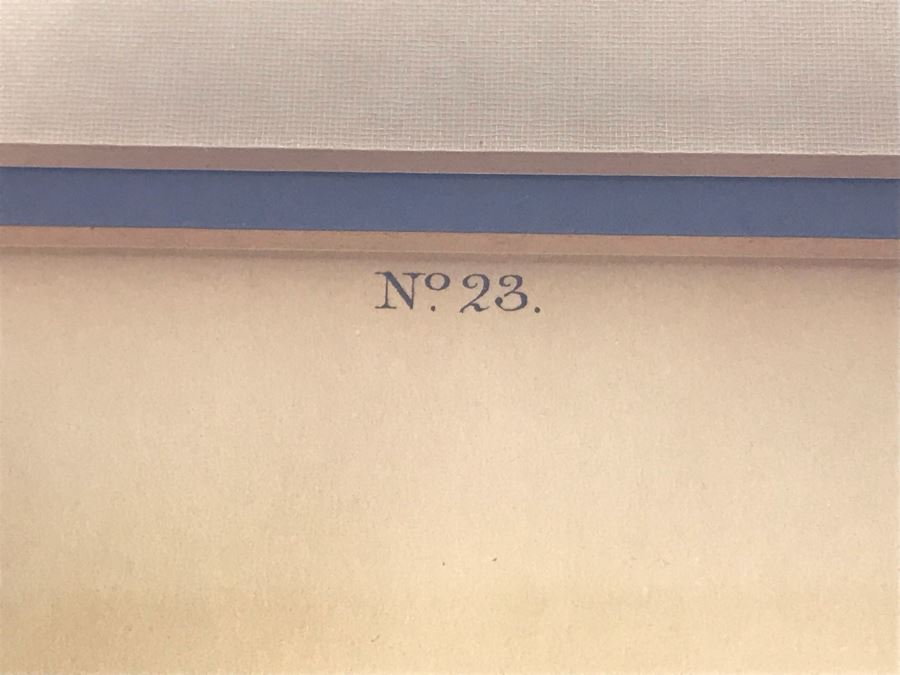 Framed Reproduction John James Audubon Blue-Bird No. 23 Print 23 X 25 [Photo 11]