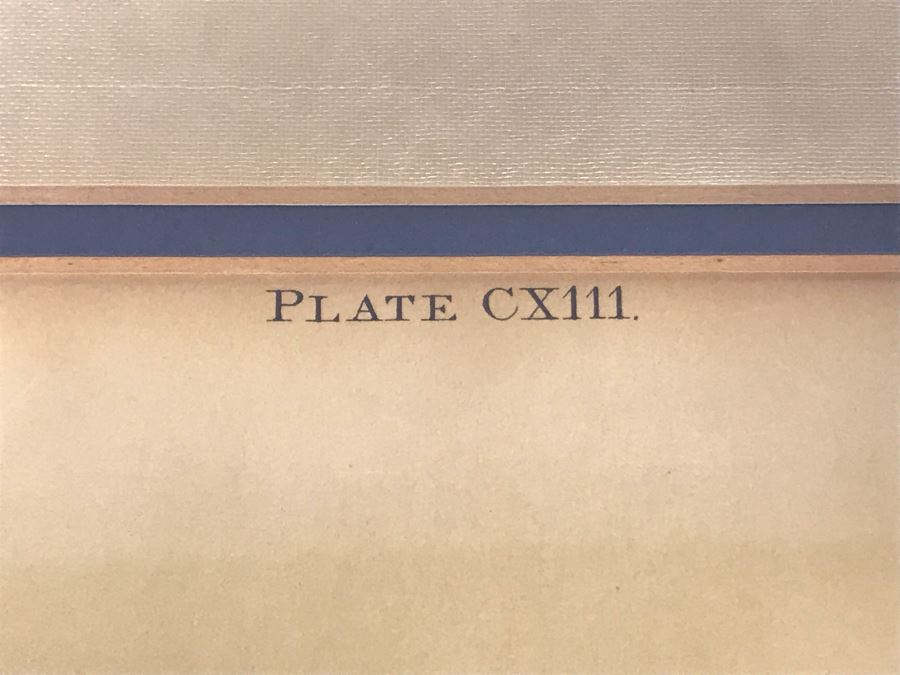 Framed Reproduction John James Audubon Blue-Bird No. 23 Print 23 X 25 [Photo 10]