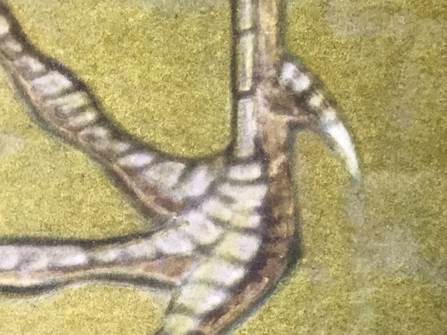 Large Framed Asian Bird Artwork 39 X 39 [Photo 8]