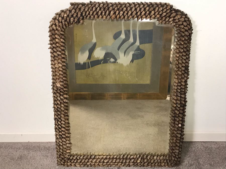 Designer Organic Shell Beveled Glass Wall Mirror 21 X 27 [Photo 2]