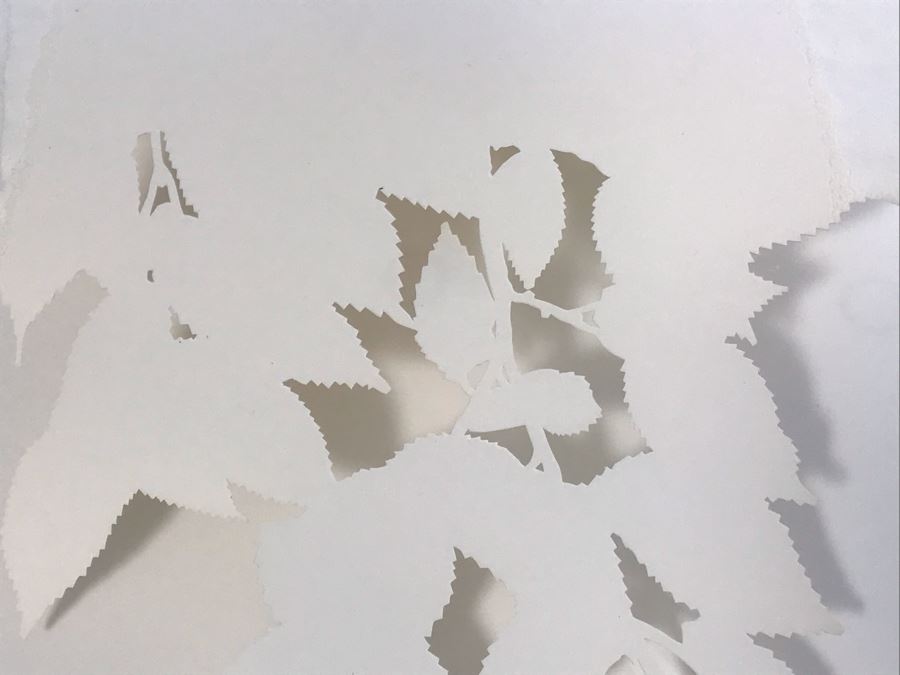 Original Hand Signed Jerry McMillan Pencil And Cut-Out Artwork Titled 'Elm #7' 40 X 28 - (1936-Current. Known For Sculpture-Abstraction) [Photo 7]