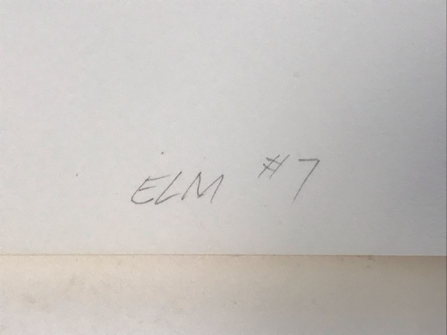 Original Hand Signed Jerry McMillan Pencil And Cut-Out Artwork Titled 'Elm #7' 40 X 28 - (1936-Current. Known For Sculpture-Abstraction) [Photo 6]