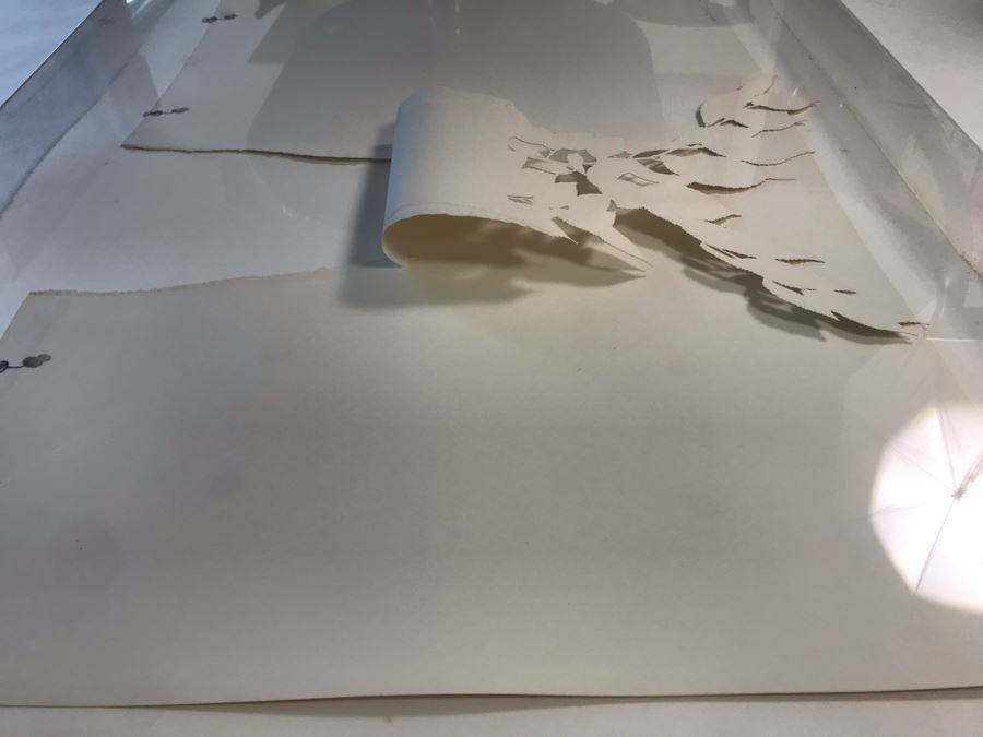 Original Hand Signed Jerry McMillan Pencil And Cut-Out Artwork Titled 'Elm #7' 40 X 28 - (1936-Current. Known For Sculpture-Abstraction) [Photo 13]