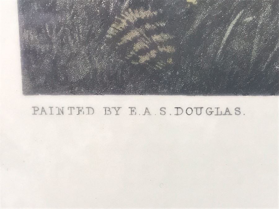 E. G. Hester Etching Based On Painting By E.A.S. Douglas Titled 'Evening - Returning To The Kennels' London, England Published 1877 By Arthur Ackermann In Classy Frame 28 X 34 - LJE [Photo 13]