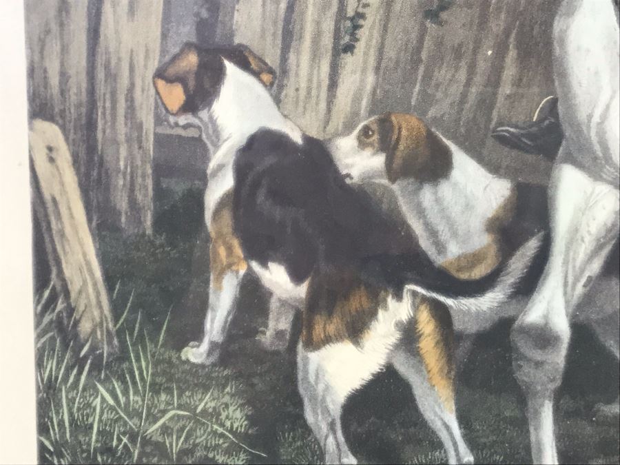 E. G. Hester Etching Based On Painting By E.A.S. Douglas Titled 'Morning - Going To Cover' London, England Published 1877 By Arthur Ackermann In Classy Frame 28 X 34 - LJE [Photo 10]